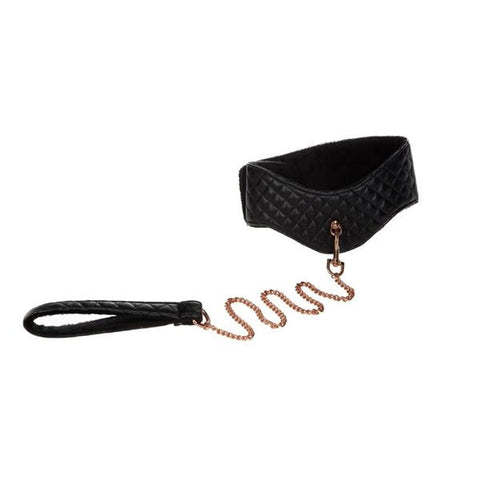 Entice Posture Collar W-leash